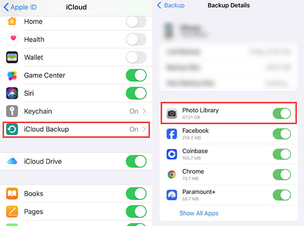 check iCloud backup in iPhone settings