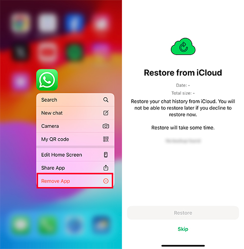 restore WhatsApp chat history on iPhone