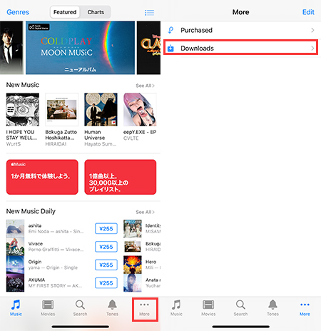 re-download deleted videos from iTunes store